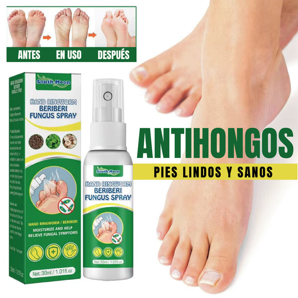 ANTIHONGOS